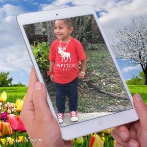 Meet your Posher, Lilly